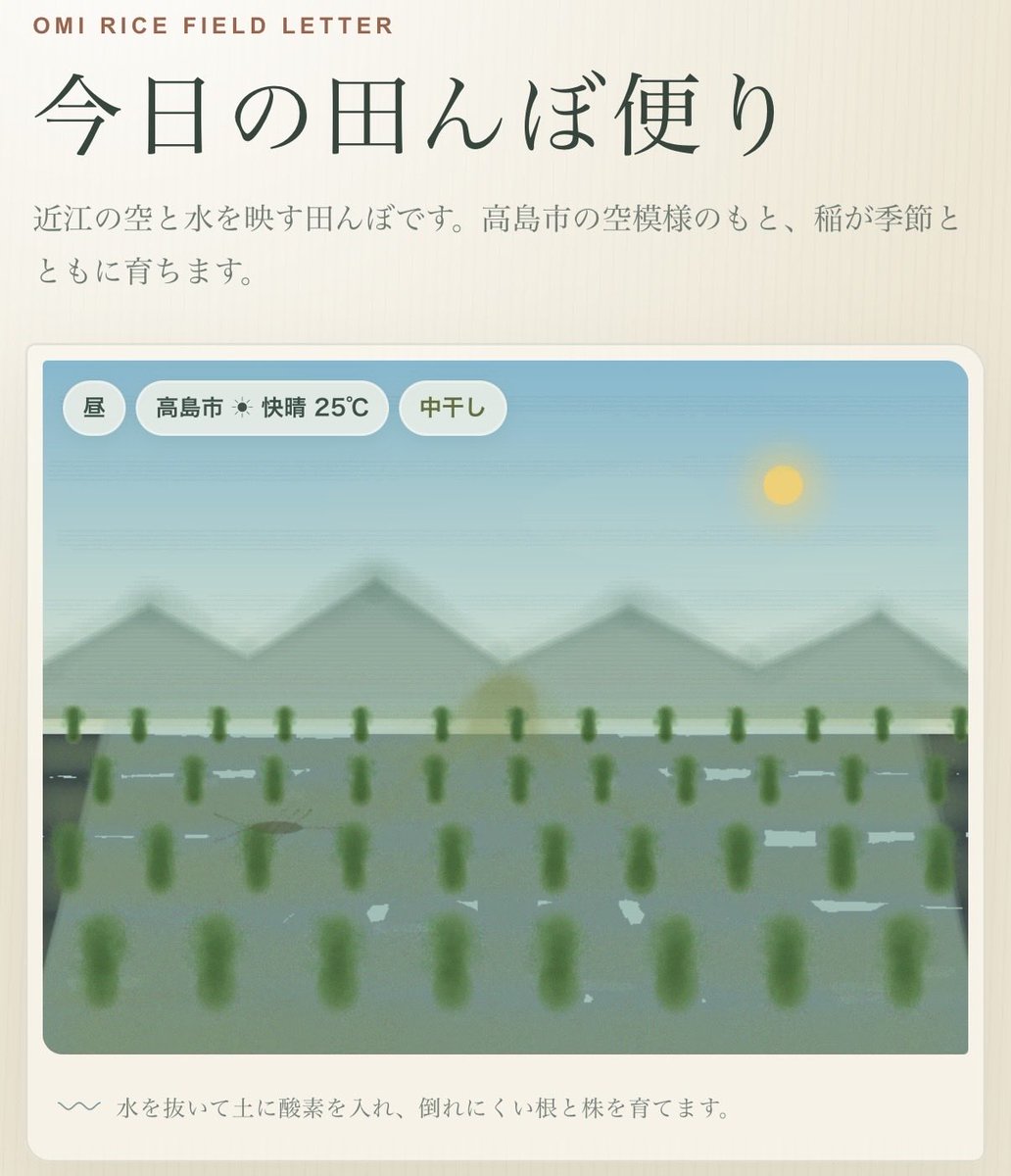 fusa308's tweet photo. 田んぼの”今”が見れて良いですね〜🌾
ミズカマキリいました👀 https://t.co/9b0S0SQlMR