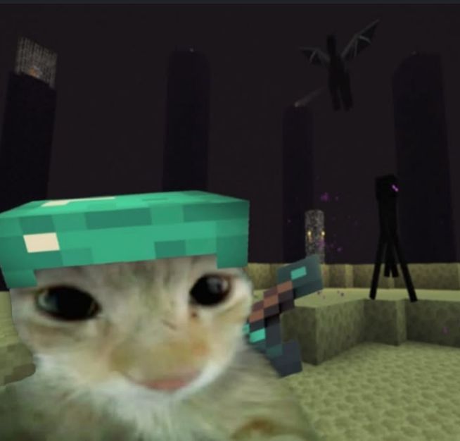 Enderman's tweet photo. https://t.co/Pkqe82VeTn