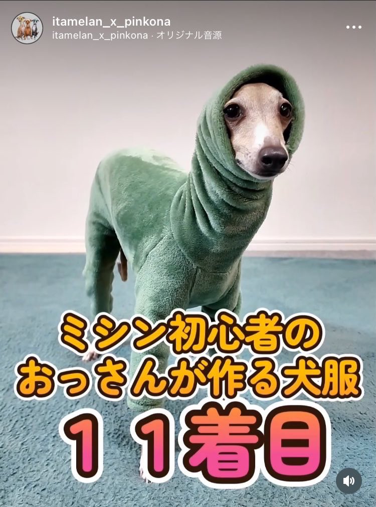 bad_texter's tweet photo. 良い https://t.co/VZBdALqDbi