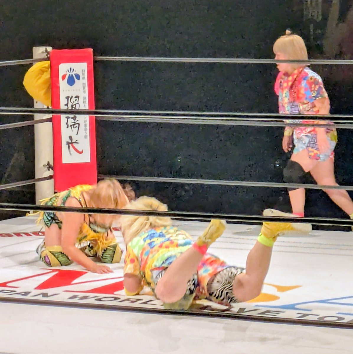 yellowwave0124's tweet photo. 2026/07/02　新木場大会
#マーベラスプロレス
メインイベント
🐝黄色軍団 🦊
　　　　🆚
　ボブボブモモ🍑バナナ🍌

まだまだ続く、永島選手の攻めヘアホイップ💫連続
　　       
#永島千佳世 
#岡優里佳 https://t.co/wmXOm1tsdn