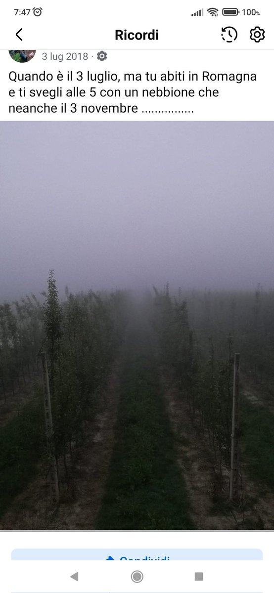 BluTormalina's tweet photo. Foto del 3/7/2018 i campi dietro casa mia, prov di Ravenna. 
Quando dico che la Pianura Padana è come il sud-est asiatico non sto scherzando. Per fortuna quest'estate non si è ancora visto questo nebbione e spero di non vederlo fino a novembre 😅 https://t.co/OQv0o0B6up