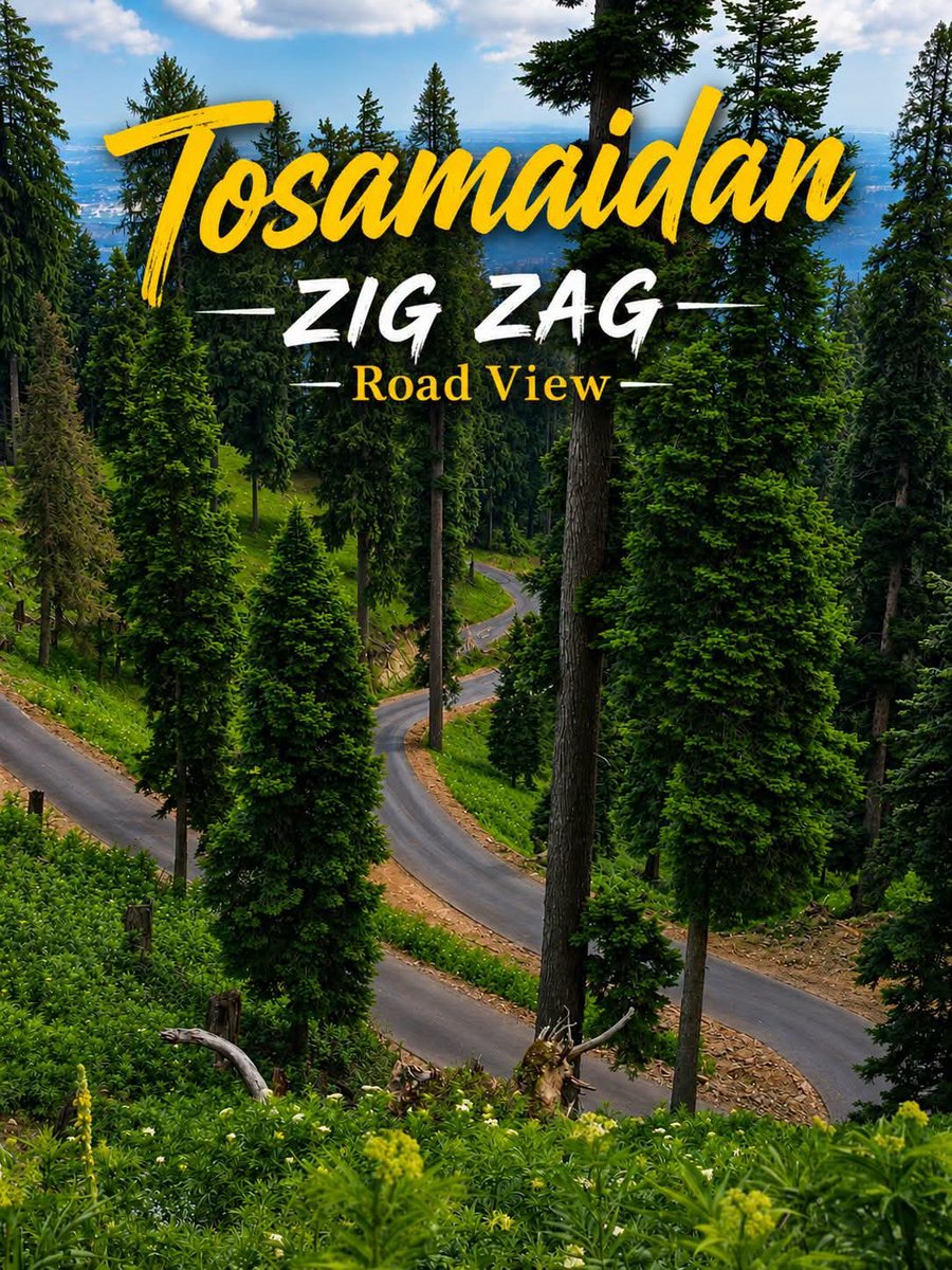 TheBudgam's tweet photo. 🛣️ Every turn leads to a better view.

📍 Zigzag Road to Tosamaidan, Budgam 🏔️

📸 @TheBudgam

#Tosamaidan #Budgam #Kashmir #RoadTrip #ExploreKashmir #HiddenKashmir #TheBudgam https://t.co/4f4hVi1ujD