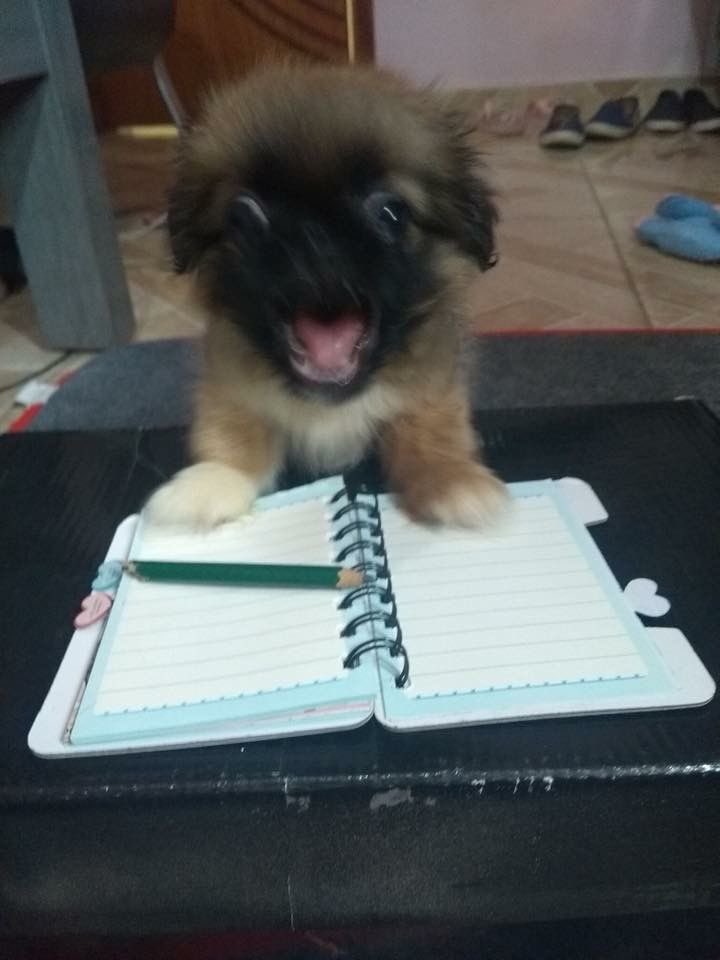 twaniimals's tweet photo. https://t.co/avPkmo9fe2