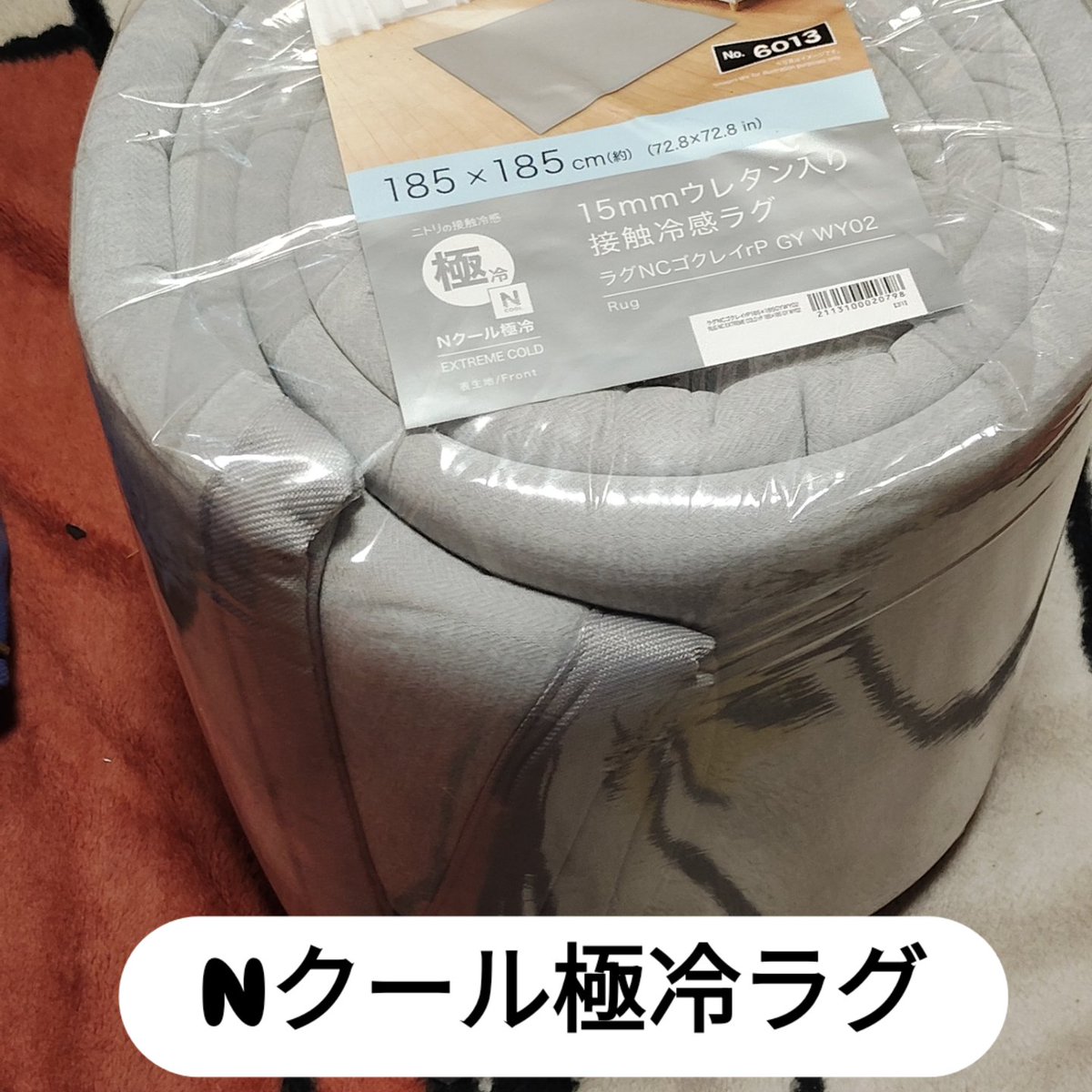 ichirota1970's tweet photo. 安物買いしなくてよかった

当初の予算より倍したけど

このラグめっちゃいい

ウレタン入り買ったから寝転んでも痛くないし

このまま寝てしまいそう

#ニトリ
#nクール極冷 https://t.co/AzVaVGH96R