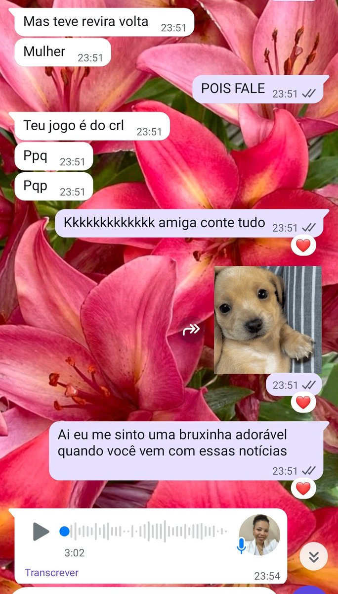 oraculodejasmin's tweet photo. O tipo de feedback de consulente que me deixa feliz da vida 🩷🥹✨ 

Esse pode ser um sinal para você agendar sua consulta de Baralho cigano comigo 🩷🌙 https://t.co/qGWRuWgyyo