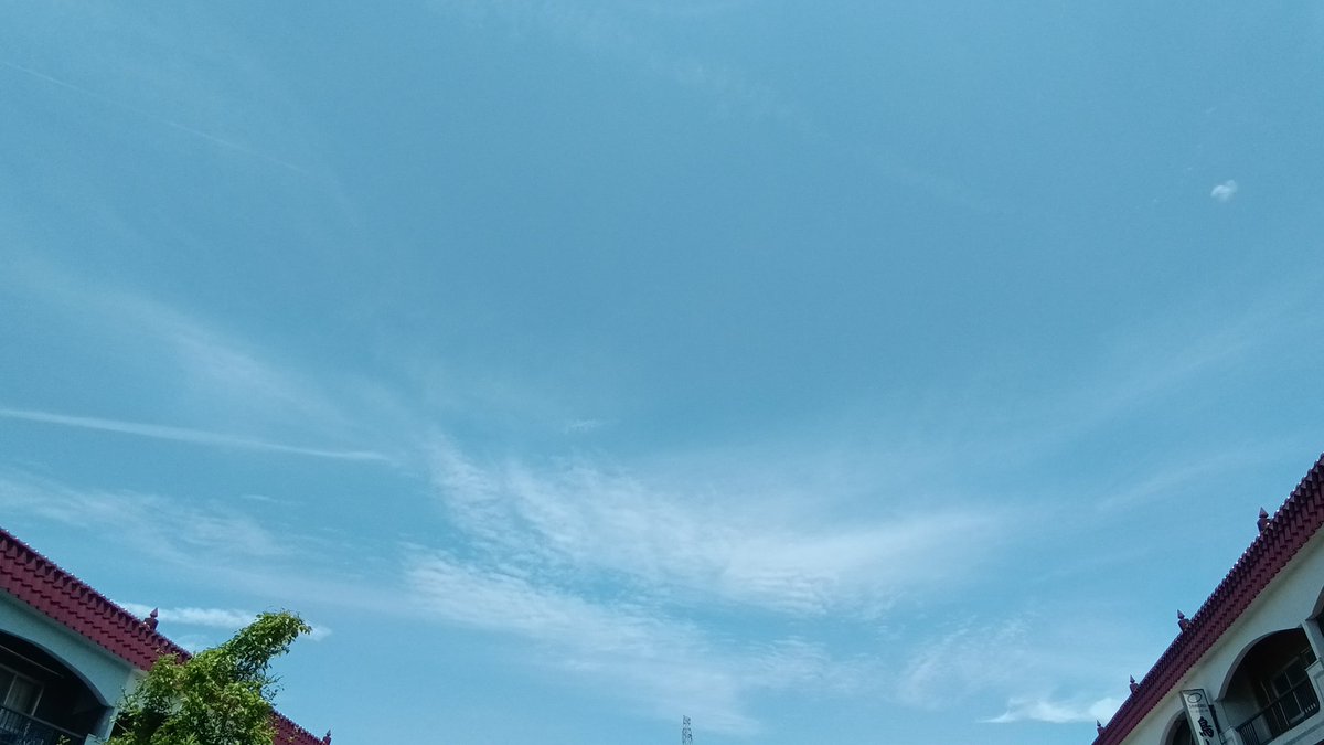 sago335's tweet photo. 店開けました。

ちょと陽が暑いけど清々しい晴れになったなぁと、支払いの準備でカブ号乗ってﾄｺﾄｺと。

これで足りるとええのやが…と入金終えて、ふと思い付いて回り道。

団地の北の高台へ上がってみて、お〜ingressやってた以来久々に来たな？

暫し景色眺めて戻ってくると…足りやんかぁ。 https://t.co/Pfiyt6lgGx