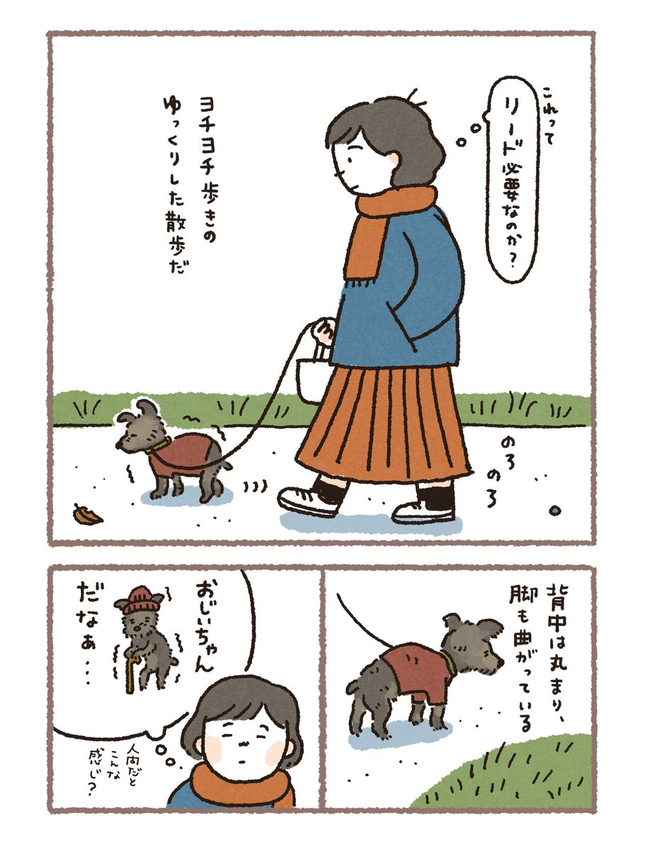 mow0122's tweet photo. 老犬と散歩(1/2) https://t.co/JSFHnY7Guy