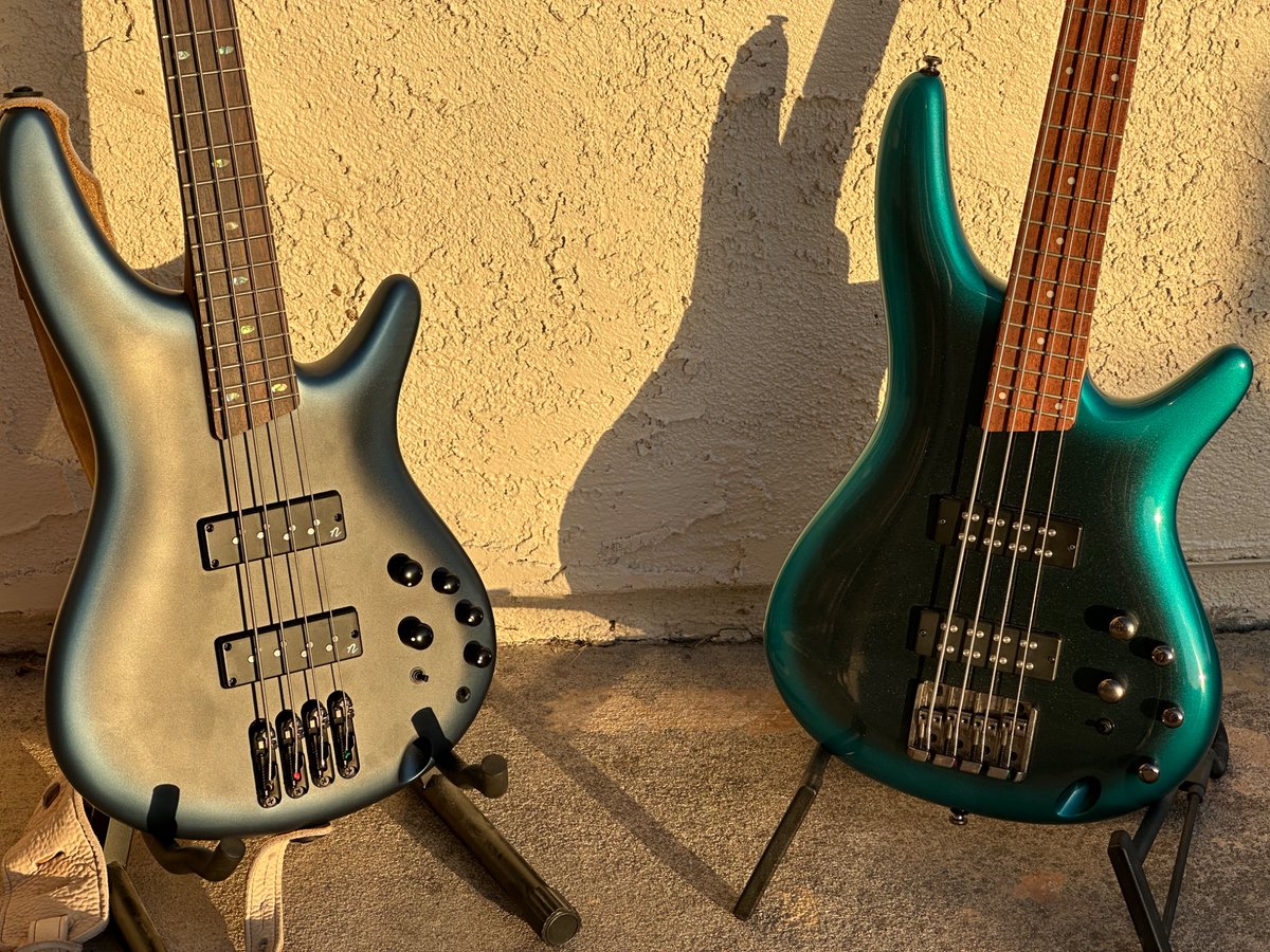 ScharrSilicio's tweet photo. Golden hour with Ibanez SR bass guitars; the SR500N and SR300E https://t.co/RfQ3iuguel