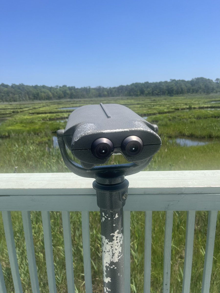 luxurythinking9's tweet photo. https://t.co/YUmH56KSZO