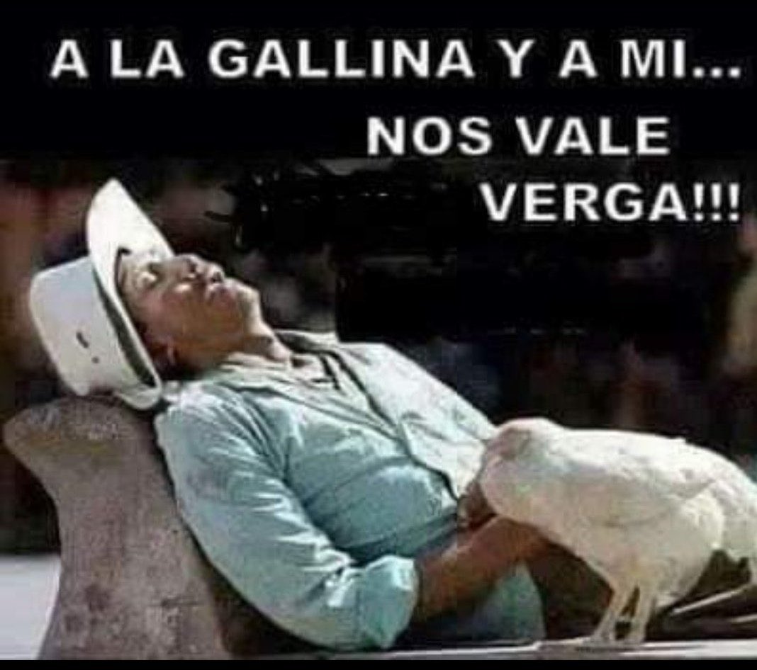 Alex42168379's tweet photo. @rosado_mil @Cristosal 😂🤣 https://t.co/ooUUTAGsmC