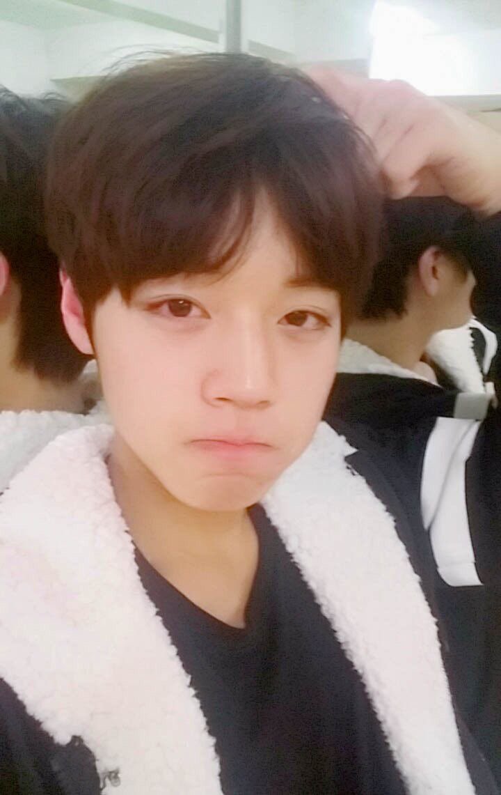 whcmeal's tweet photo. awww age accurate shse https://t.co/xXMQUm4Ogo