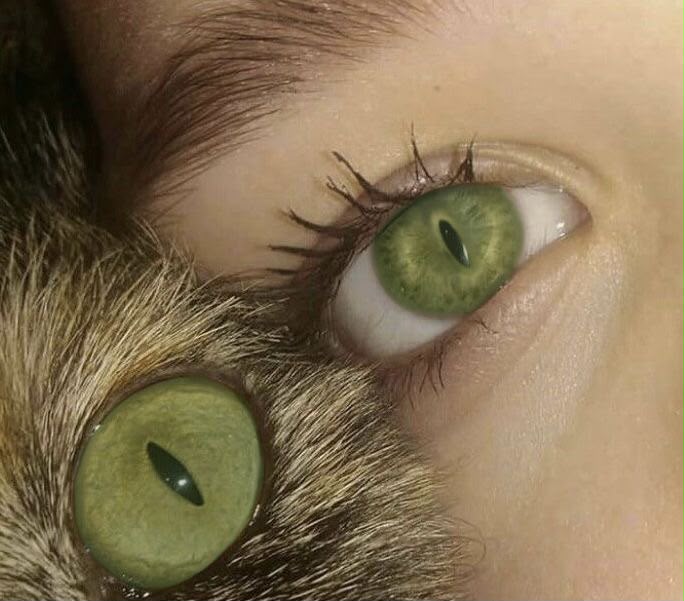 greenvibe's tweet photo. same vibes https://t.co/j3VDN1b1Om