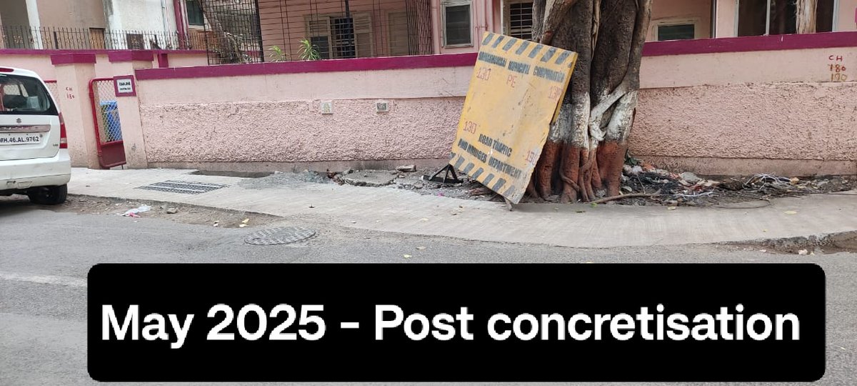 cdchembur1's tweet photo. The road department should be largely responsible. See pics. No understanding of the issue - how can they say tree health was ok in 2026 when the roots were damaged whilst concreting the road way back in 2024-25! No collaboration between depts https://t.co/qBdHK8Waoa