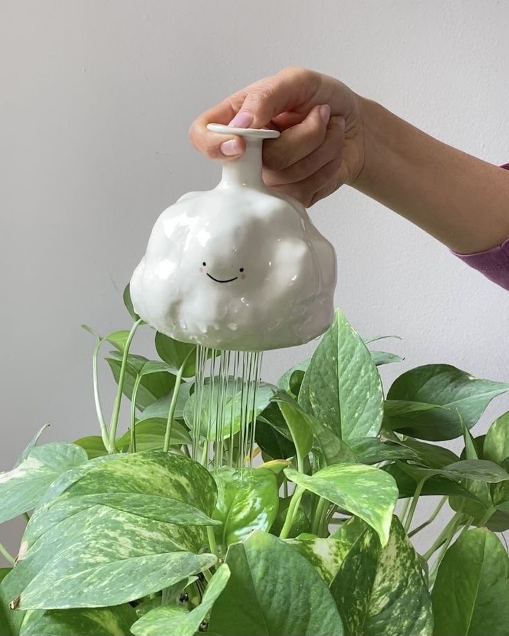 greenvibe's tweet photo. A cute white cloud is watering the green plant. https://t.co/3jwlGrDPHG