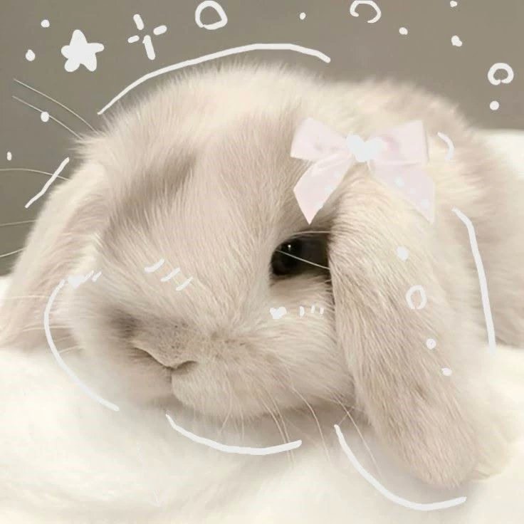 miniii__3's tweet photo. #moothunt ♡ #promotwt 
☆☆☆☆☆☆☆☆☆☆☆☆☆☆☆
♤ Milo
♤ he/him
♤ 17
♤ bi
♤ I love anime and manga
♤ new to #shedtwt 
♤ looking for interactive moots and even friends maybe
♡\↻ to be moots
☆☆☆☆☆☆☆☆☆☆☆☆☆☆☆
#depressed #animetwt #suicidetwt #venttwt https://t.co/QsBfrUcJTU