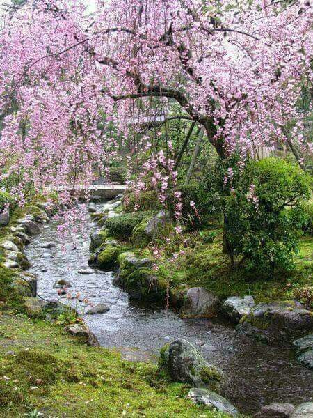 greenvibe's tweet photo. nature https://t.co/IPASGnbBXH