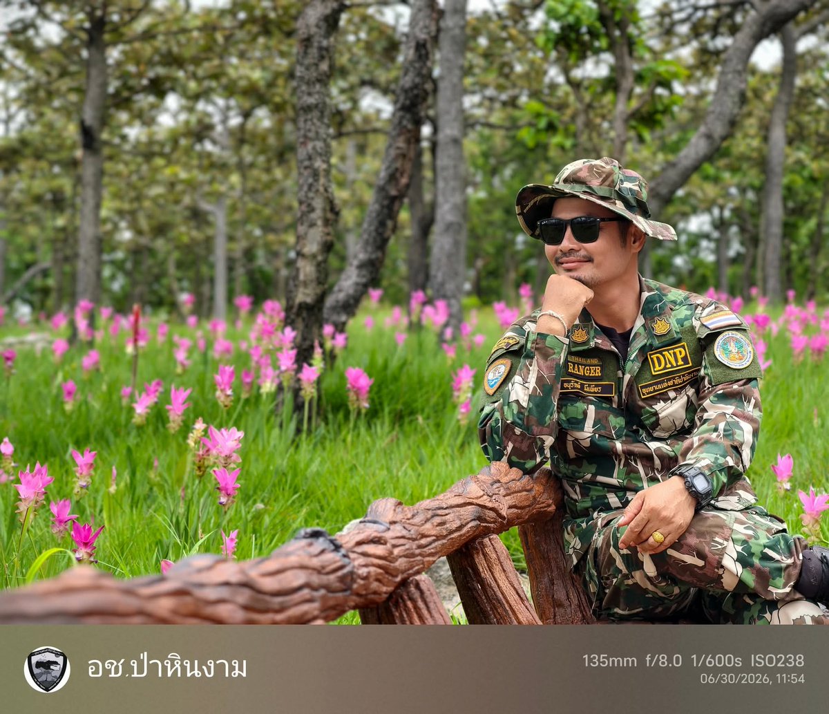 pr_prdnp's tweet photo. 🌸 เซอร์ไพรส์! ทุ่งดอกกระเจียว ป่าหินงาม จ.ชัยภูมิ บานเร็วกว่าปกติ 1 เดือน แถมบานสะพรั่ง "เยอะที่สุดเป็นประวัติการณ์" ✨เปลี่ยนผืนป่าเป็นพรมสีชมพูกลางสายหมอก อุทยานฯ พร้อมต้อนรับ 100% สายคอนเทนต์รีบพุ่งตัวด่วน! 📸🚗💨
​#ทุ่งดอกกระเจียว #อุทยานแห่งชาติป่าหินงาม #กรมอุทยานแห่งชาติ https://t.co/eXEv9CGnkM