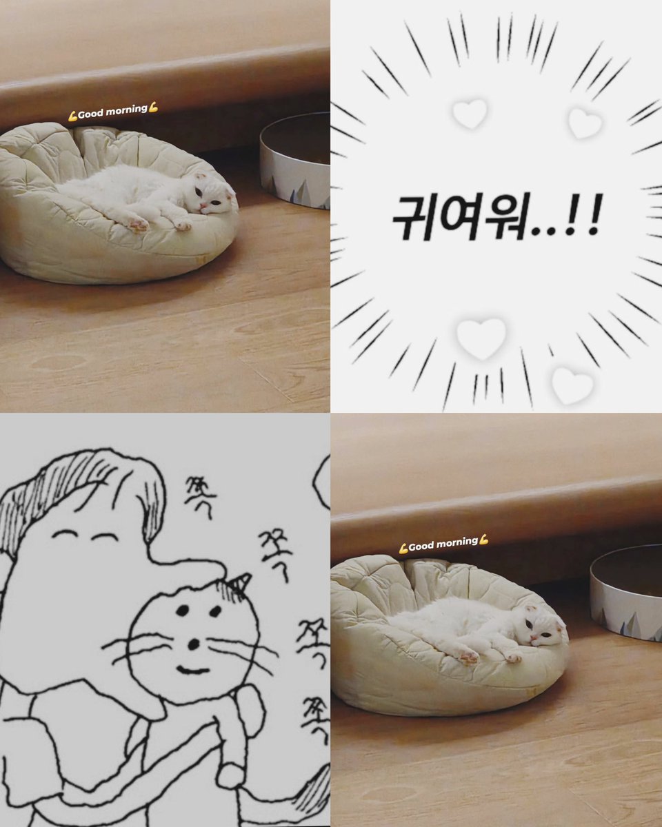 Jicheora's tweet photo. 주관 다 빼고(이게 되긴되나) 객관적으로 봐도 너무너무 귀엽고 사랑스러워ㅠㅠㅠㅠㅠㅠ https://t.co/B7IlkGKtFz