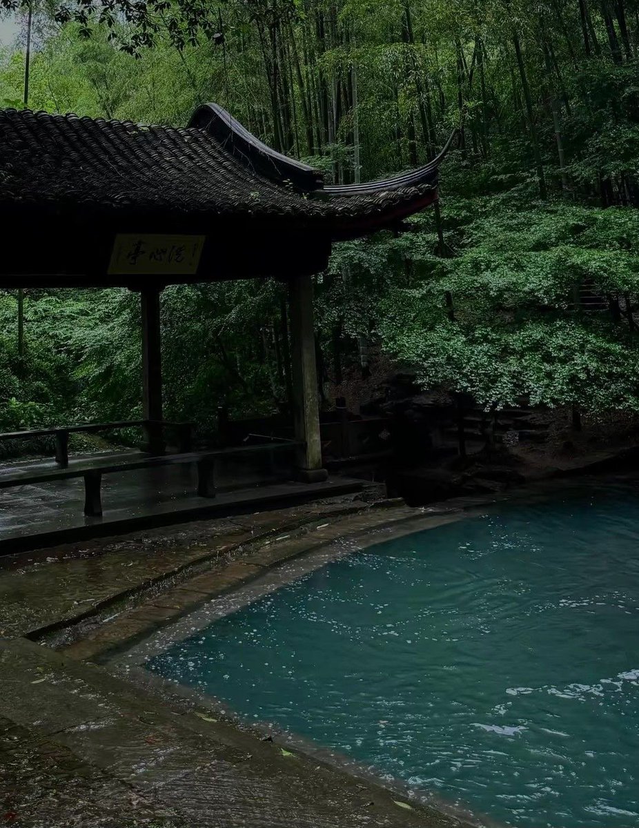 greenvibe's tweet photo. A traditional Chinese pavilion is next to a turquoise pond in the bamboo forest. https://t.co/q2EgOhCe7M