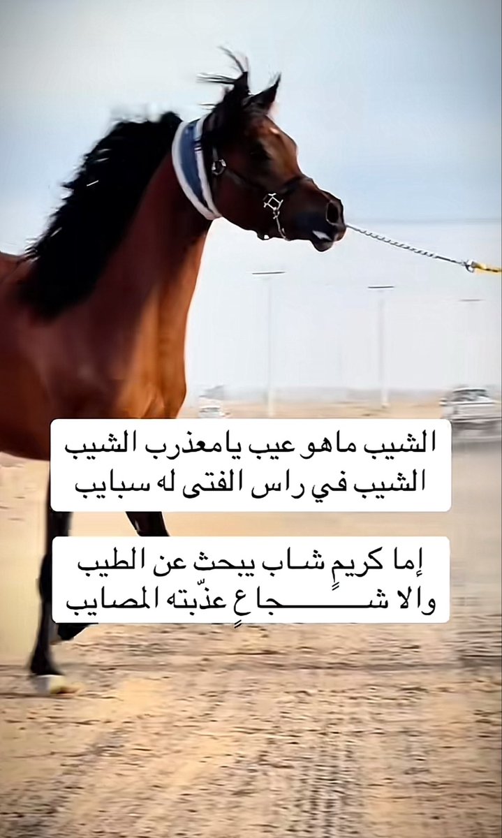 SaudiiSaif's tweet photo. نساير الدنيا على كف الأقدار
ساعة تسـايرنا وساعة عنيدة

💔

￼￼ https://t.co/yvW59kN85d