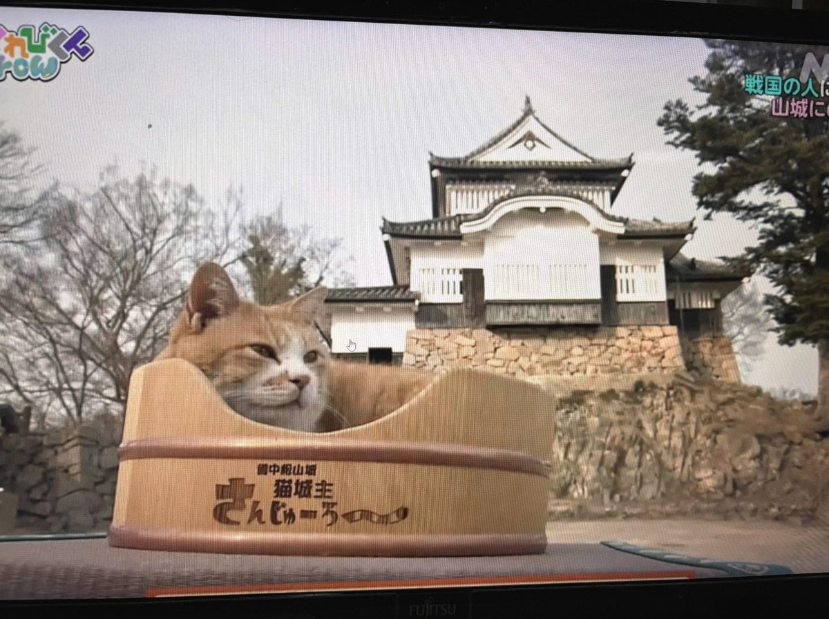 MrsTCookz's tweet photo. みこしーさん推しだからずっと1位であり続けて欲しい https://t.co/JmEE7taWDz
