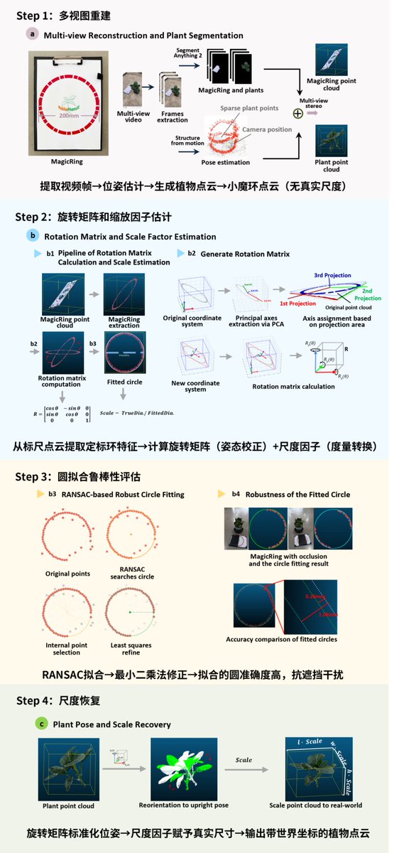 CASTScholar's tweet photo. Low-cost MagicRing resolves monocular 3D reconstruction scale ambiguity, and its smartphone-based pipeline is verified to enable high-throughput field 3D plant phenotyping. https://t.co/r7KXzzwn6z https://t.co/tdTDqobnLR