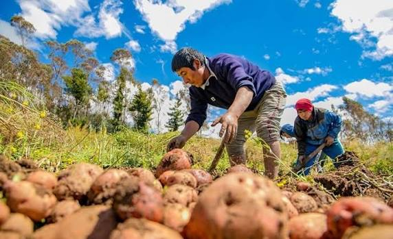 AnthonioCruzito's tweet photo. Orgulloso de nuestra variedad de hortalizas, frutas y granos. Somos un país que puede alimentarse a sí mismo gracias a la sabiduría de nuestra agricultura milenaria. Croacia Cristiano Modric https://t.co/0vBIdqVZme