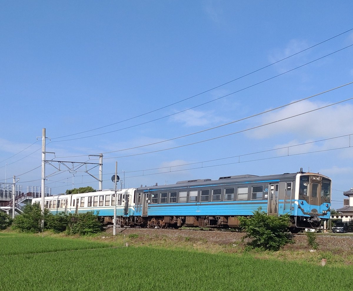 tse2000bc's tweet photo. 今日の普通列車(2026.7.3)
4623D ｷﾊ54 3
4618D ｷﾊ54 9
911D ｷﾊ185-3107+ｷﾊ185-3110
4625D ｷﾊ54 2
4620D ｷﾊ54 6
4913D ｷﾊ54 9
622D ｷﾊ54 11+ｷﾊ32 7+ｷﾊ32 13
912D ｷﾊ32 10+ｷﾊ54 8　
4627D~4624D ｷﾊ54 6 
4626D ｷﾊ54 3 https://t.co/oBw3iQ0QmX