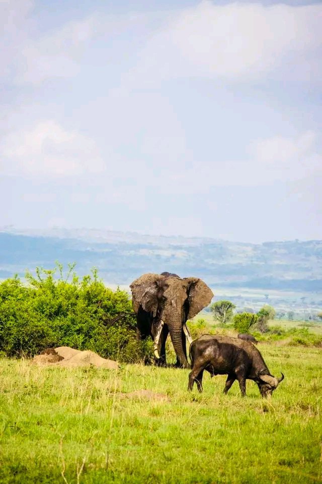 moexpeditions's tweet photo. NATURE https://t.co/JgEhMhO26a