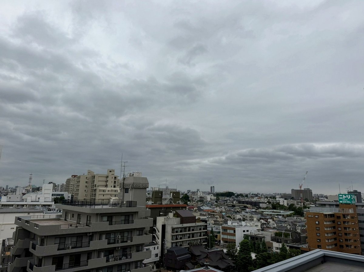 RyanboilMT's tweet photo. でも今日はニンダイがあるからね。お仕事のイライラ我慢できるの。昨日イライラでアイス食べたから今日はアイスないないできますありがとうニンダイ https://t.co/AEKip8Sny6