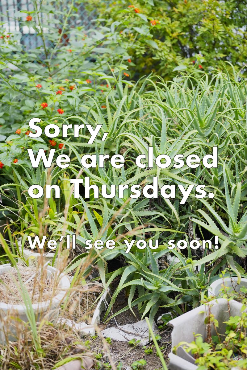 alt_medium's tweet photo. Alt_Mediumは本日、木曜日は定休です。
また明日から吉田圭右 個展「フリップ」を開催します。

https://t.co/PX0hVj2CqA https://t.co/6mppe9zJ4X