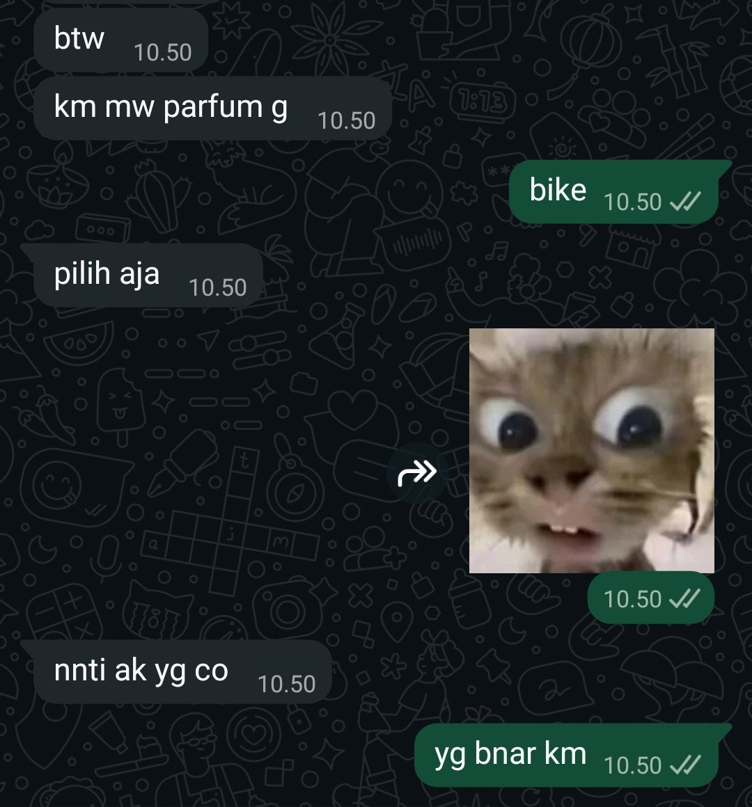 caphybark's tweet photo. blio ini baiq dn hbat dn baiq btul https://t.co/2BwEX8xSTR