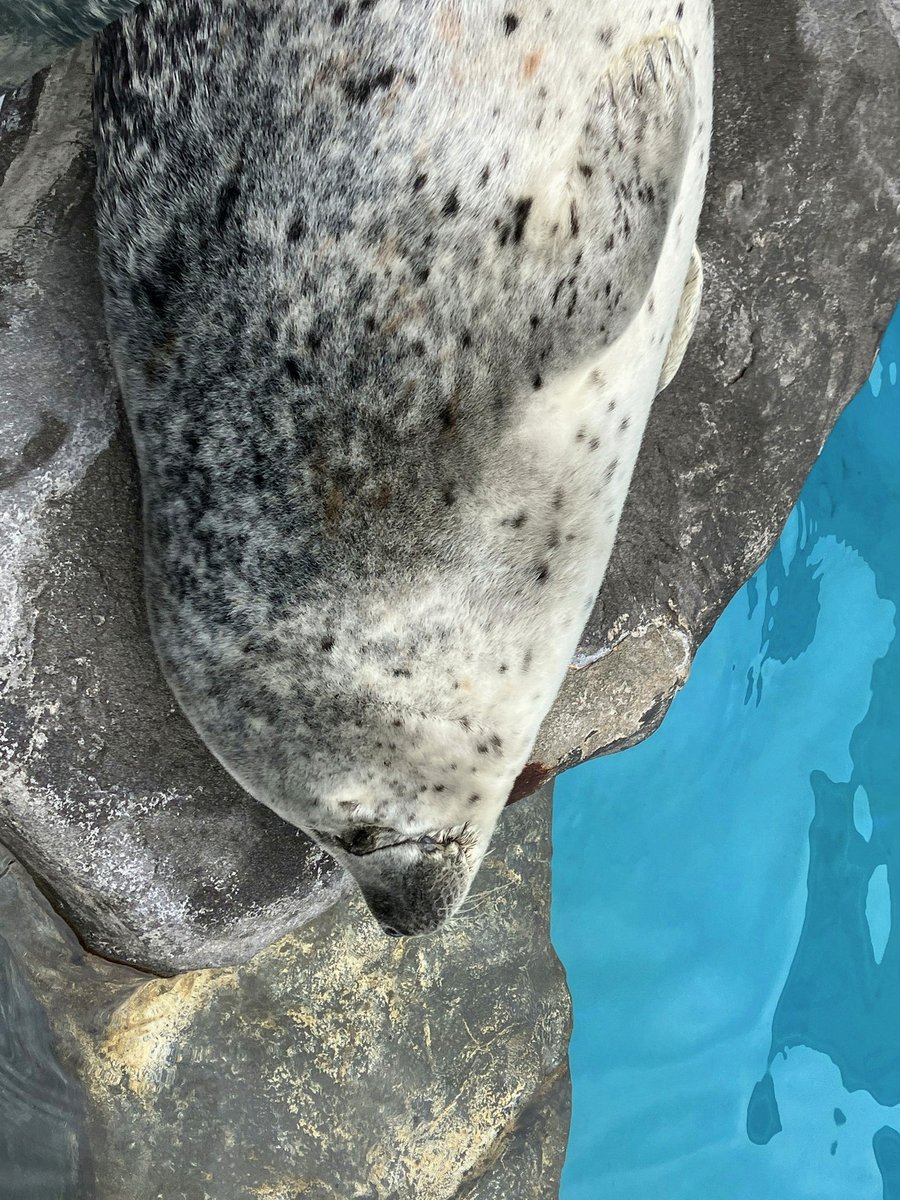 ZohanUsagi's tweet photo. 親父が荒れすぎててまじでやばいんだが。
死んじまえとか発狂が聞こえてきて起きたんだが… ガチでもう限界。 https://t.co/wRrMeCoFBy