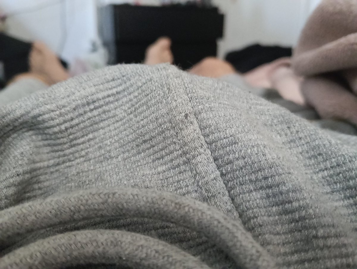 ikicide's tweet photo. Anyone up to sext right now https://t.co/VBM05UbmnZ