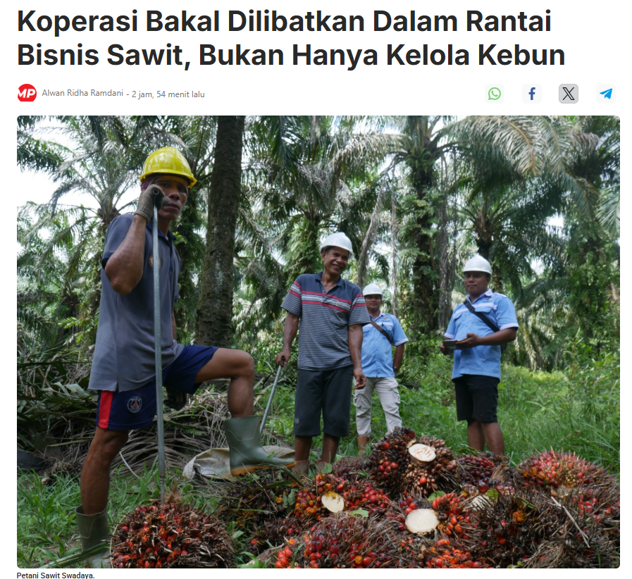 duitnegara's tweet photo. Wah pelibatan koperasi di seluruh rantai nilai industri sawit bakal memperkuat ekonomi kerakyatan sekaligus memastikan petani memperoleh nilai tambah yang lebih besar dari komoditas sawit. Sebelumnya kan ini dikuasai swasta, dengan kaya gini manfaat ekonominya kerasa buat warga🔥 https://t.co/HELC24ydQj