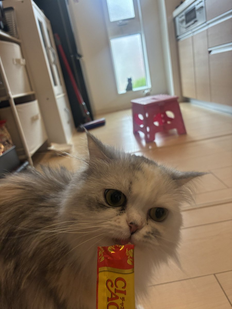 大好きなチュール❣️