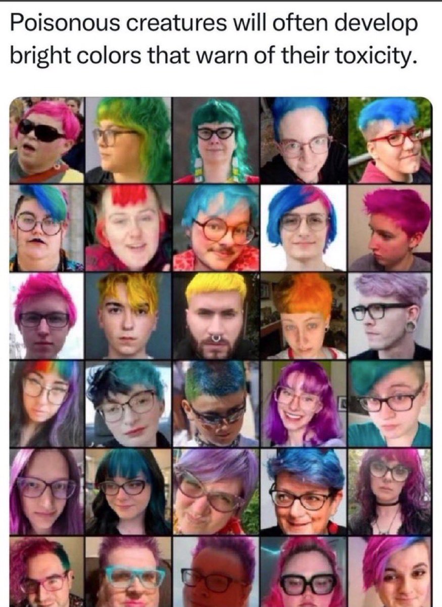 Mfmjdism tweet media