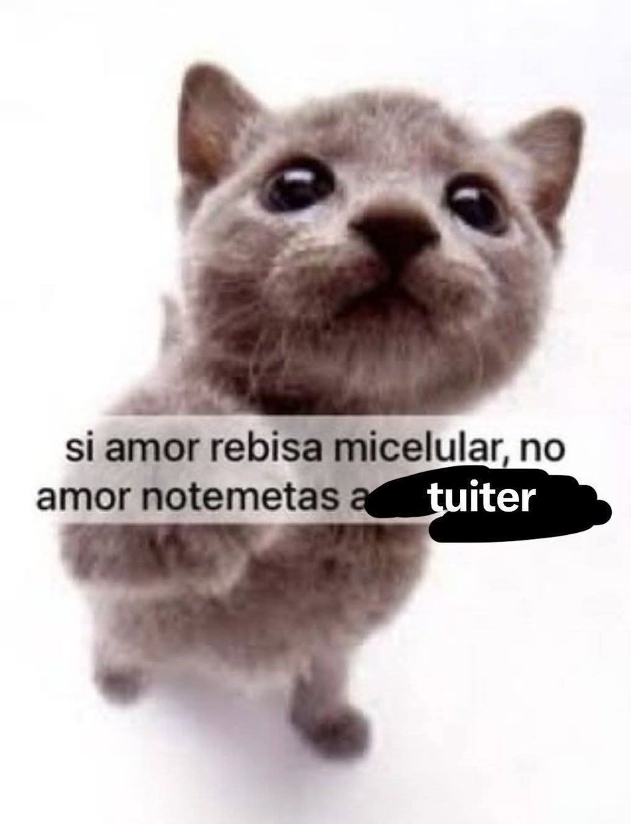 saps7_7's tweet photo. @Ro45gsPLUS básicamente este https://t.co/QGyvBXIWv1