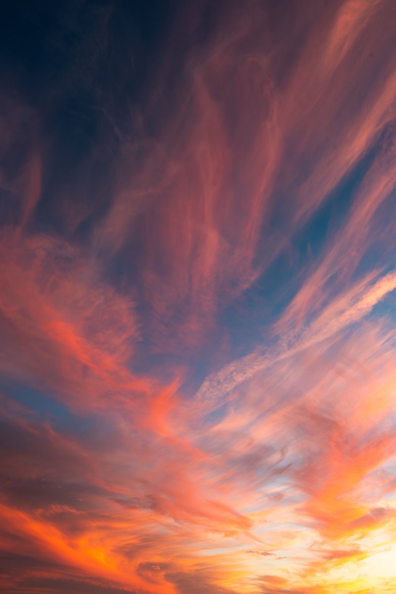 Pure Nature tweet media