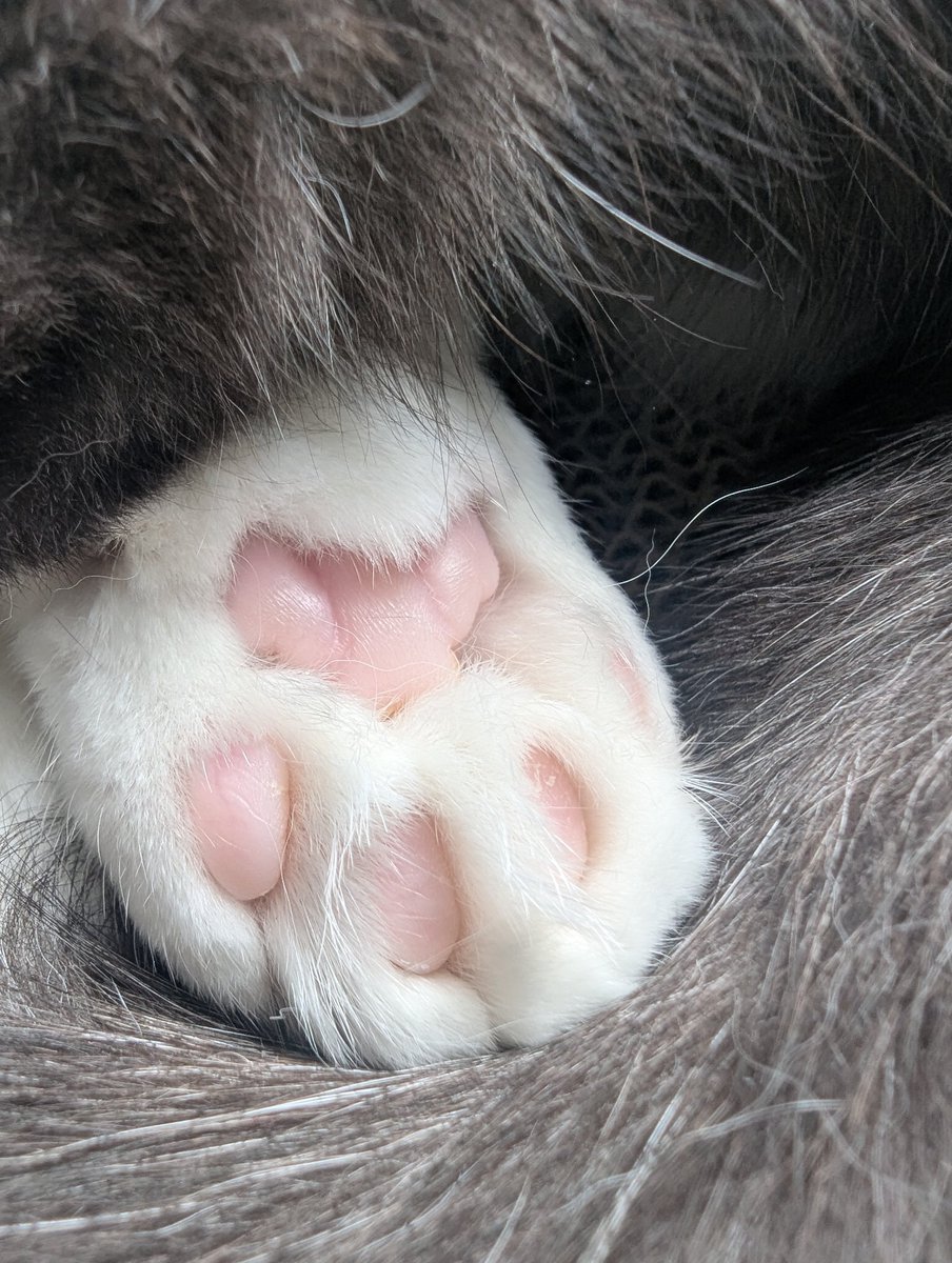 メイたん(´・ω・`) tweet media
