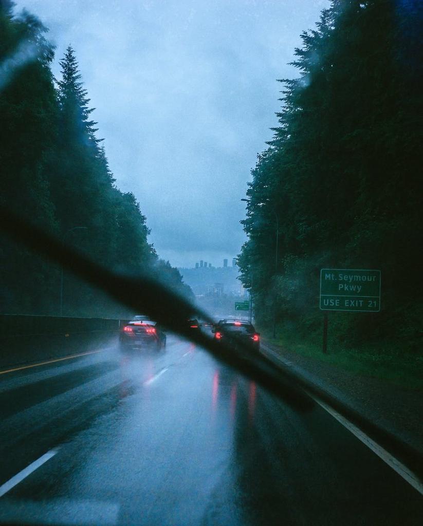PureNature30407's tweet photo. Rainy Day 🍃 https://t.co/3mFWXsgx3S