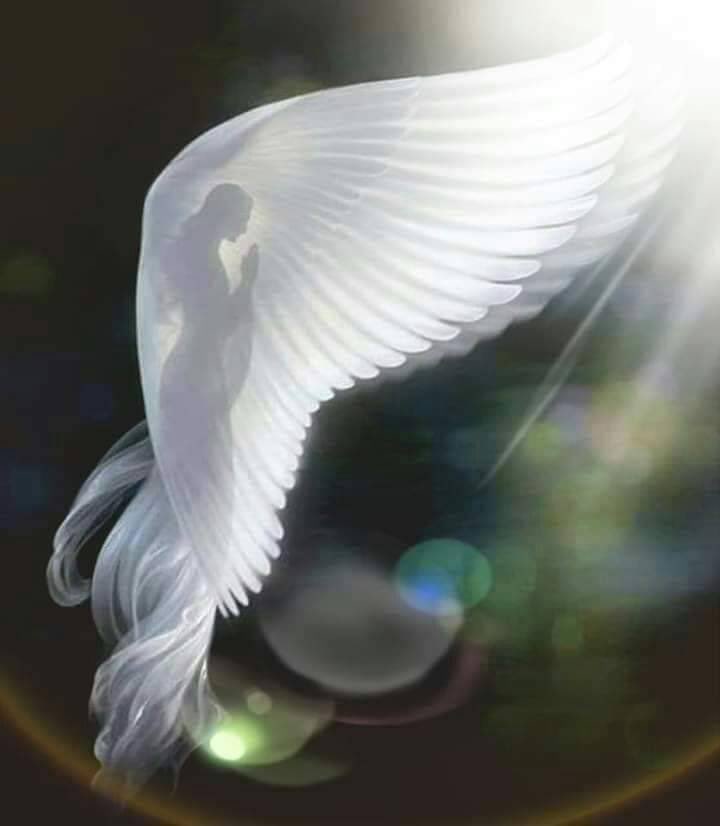 Meramar63268116's tweet photo. اللباقةُ الروحيةُ... أسمى وأنقى أنواع البَهاء ، و الارتقاء الروحي حتمي لكل من تحرر من ثقل الطين . https://t.co/B8XUiXqTWK