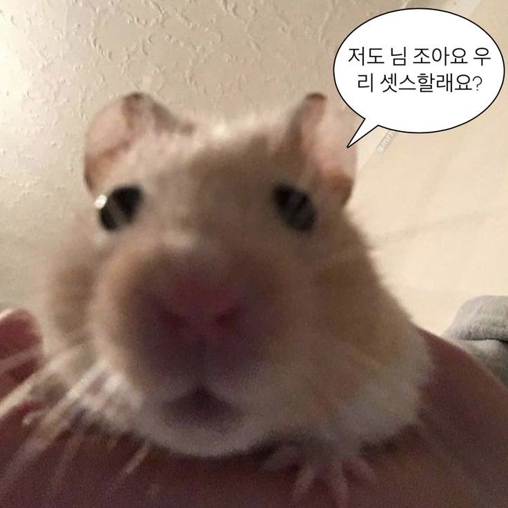 renin788's tweet photo. 아파서 일안가기..~
#섹트 #일탈 #펨돔 https://t.co/xOxNkujmQf