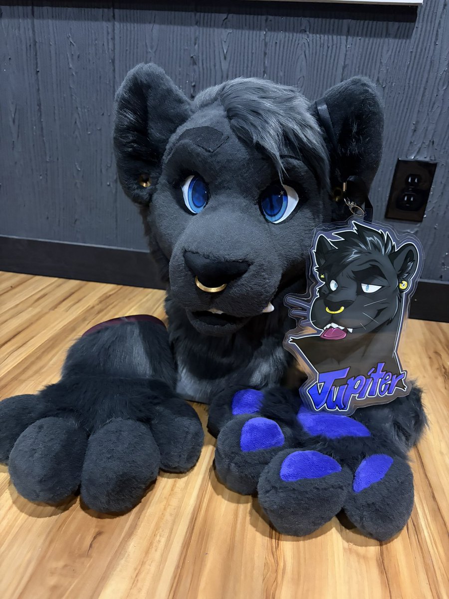 Killjoy0208's tweet photo. Fully finished with paws and badge ❤️ who’s ready to watch this cat pounce? @jupesthebigcat https://t.co/DxA3nuuz47