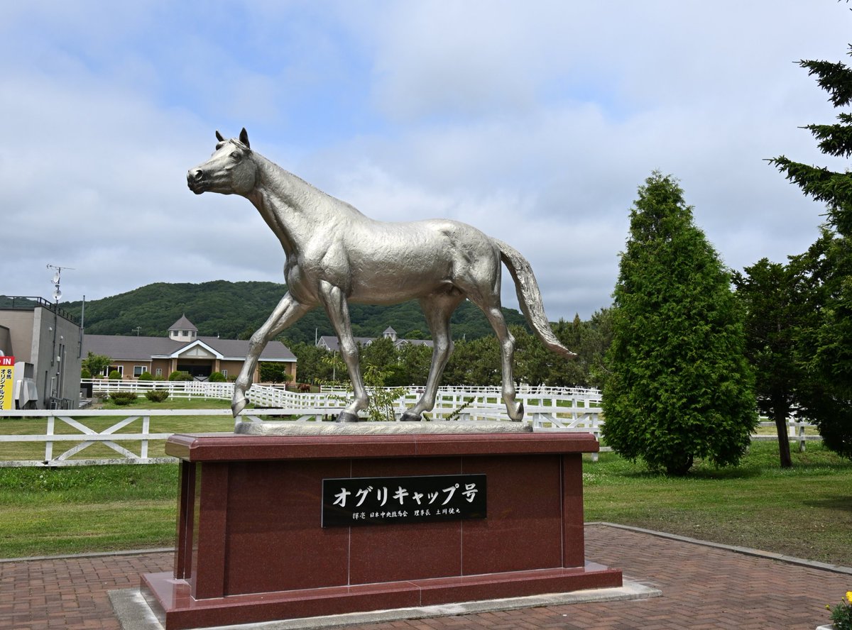 pakapakakobo's tweet photo. 【オグリキャップ十七回忌】
①②③本日はオグリキャップ（1985.3.27-2010.7.3）の十七回忌先ほど手を合わせてきましたが優駿記念館には20台近い車が停まっていて、参拝者はオグリに手を合わせていました🙏💐🦄
④本日撮影の“シンデレラグレイ”オグリキャップ等身大パネル
※画像は2012年の三回忌 https://t.co/j0yxtoDoaz