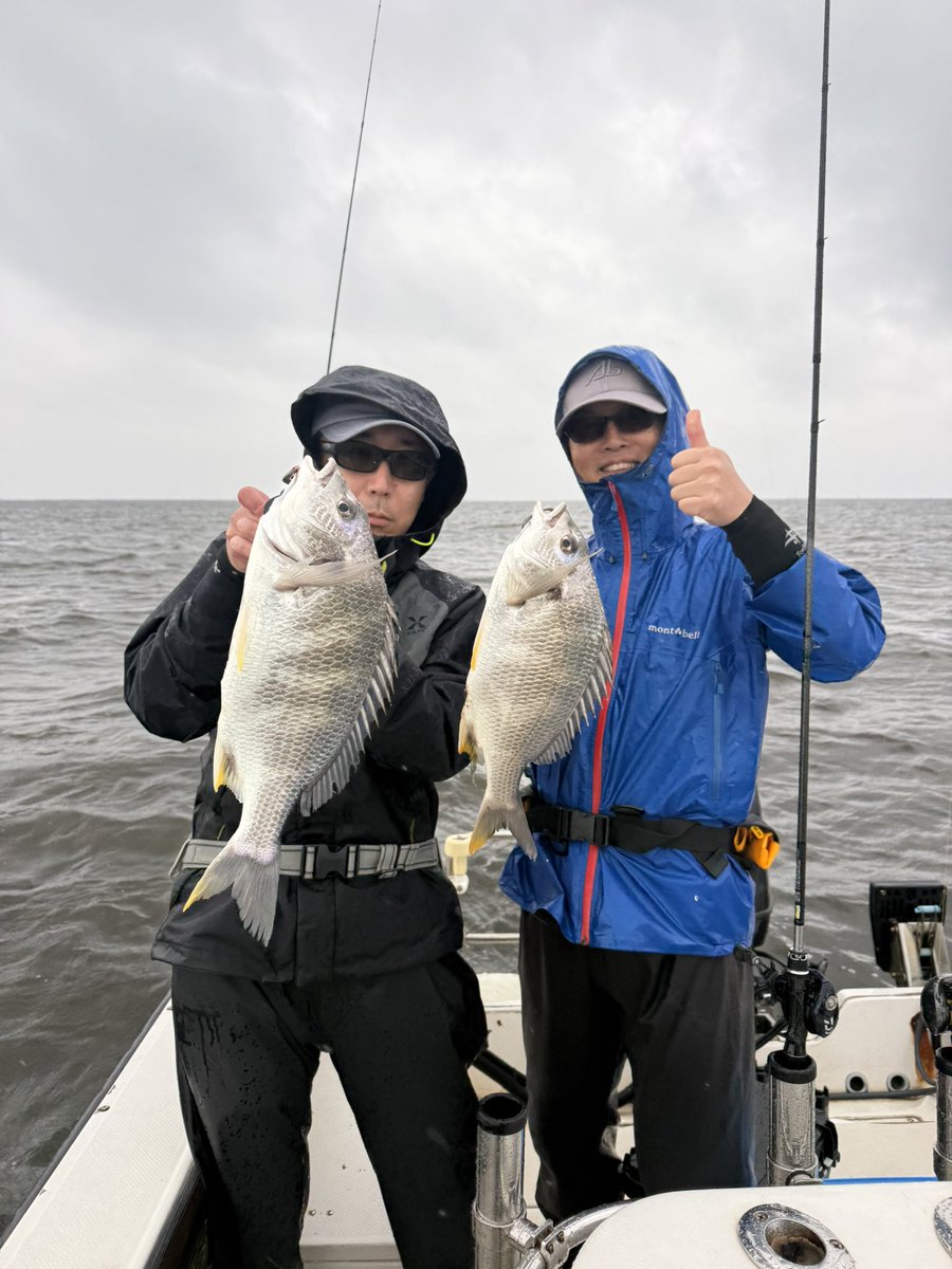 EasyFishingFNB's tweet photo. 爆釣大雨釣行🎣
チャーター便8−20数枚キャッチ🔥🔥🔥
ツツヌケ達成👏
終始アタリが止まらないクレイジーなタイミングでした！
合計何匹釣れたのか皆様わからなくてなってました😆いいタイミングで良かったです https://t.co/x4xgbS1GcD