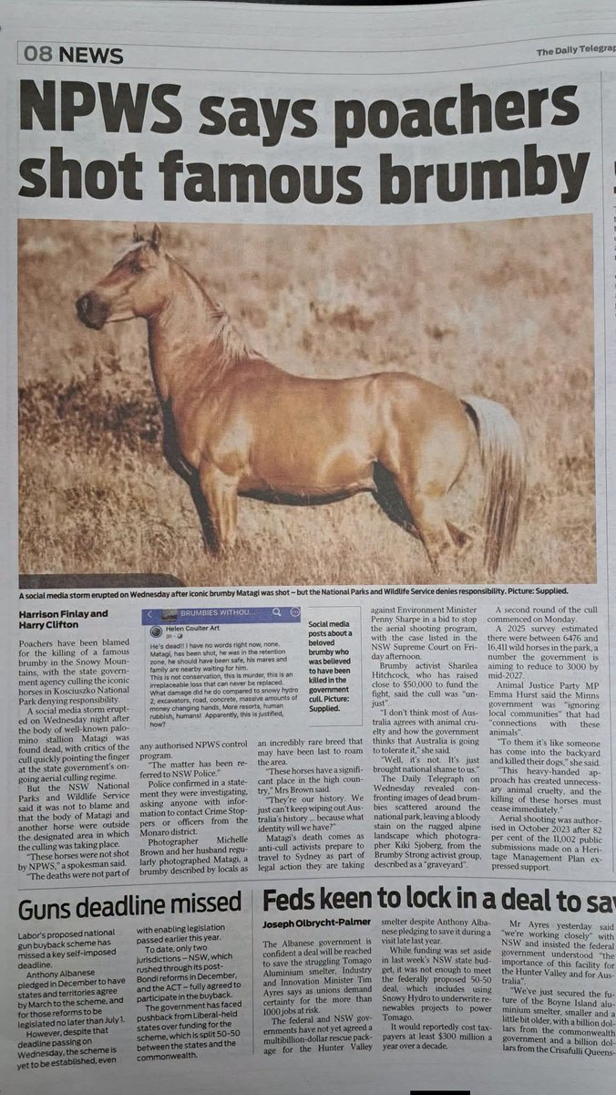 aldwyn's tweet photo. The public deserves transparency and accountability.
It's time for the truth about Australia's brumbies to come to light. Let's keep asking questions and speaking up for these iconic horses.
#Brumbies #AnimalWelfare #TruthMatters #BrumbyStrong https://t.co/ulfvvmAndq