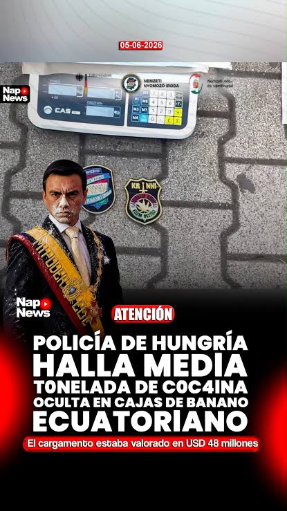 PiaArtleo's tweet photo. @ColectivoTVUNAM @tvunam @DefensorUNAM @IPN_MX @IPNmx @tvoaxnoticias @NPRNewsNow  @cirt @ReporterosMX_ @LevantWire
@diariobasta @telediario @SecPrensaSV @Iran_TVv
@rosaicela_ @ErnestinaGodoy_  @OHarfuch @A_MontielR @BuenGobierno_mx
@HugoAguilarOrti @LeniaBatres
@DipsMorenaMx https://t.co/oV4dWFyIWS