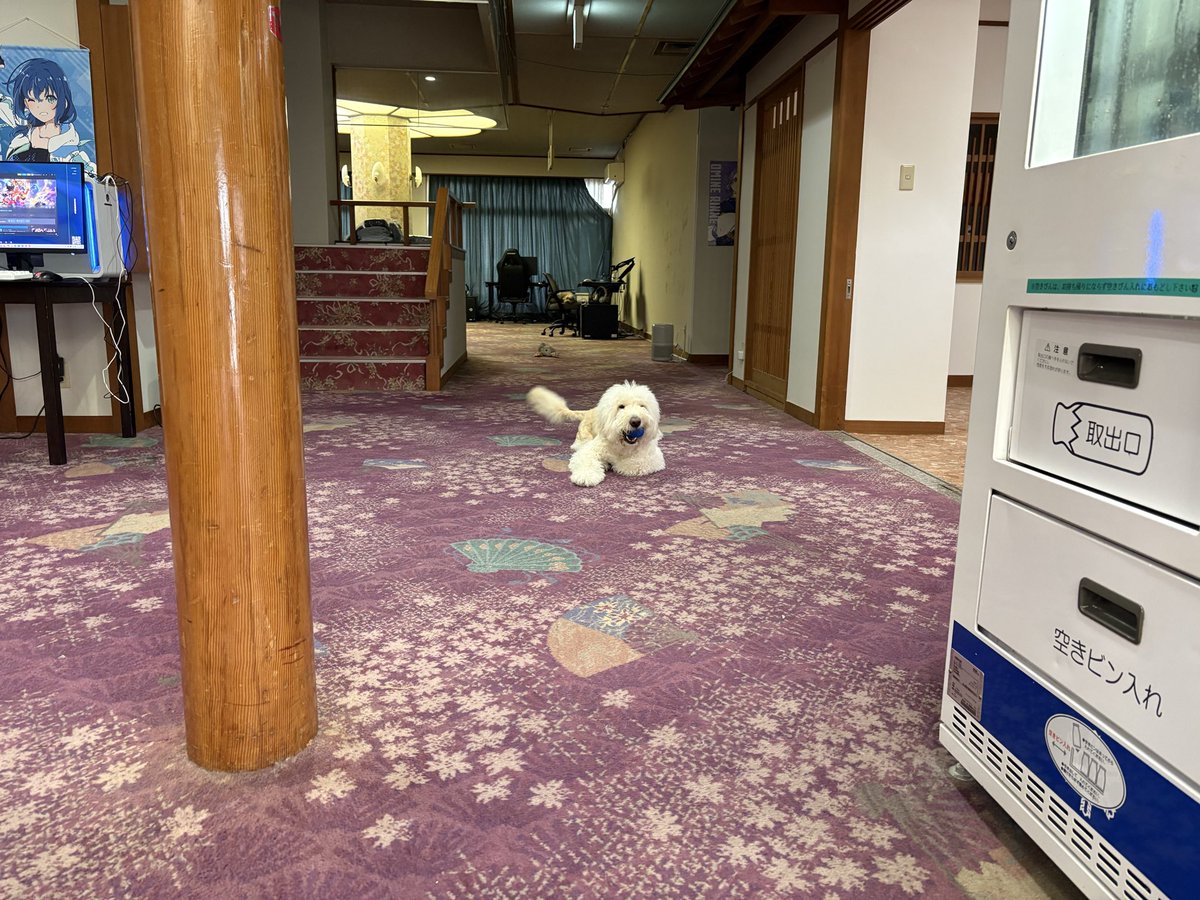 GS_IBSG's tweet photo. 【自動ドア手動】
ふーちゃん🐕の喜びタックルで仕切りが壊れたため、玄関の自動ドアを手動に変更しています☺️💦
入館の際はブザーでお呼びください🙏 https://t.co/hR6fY39C2Y