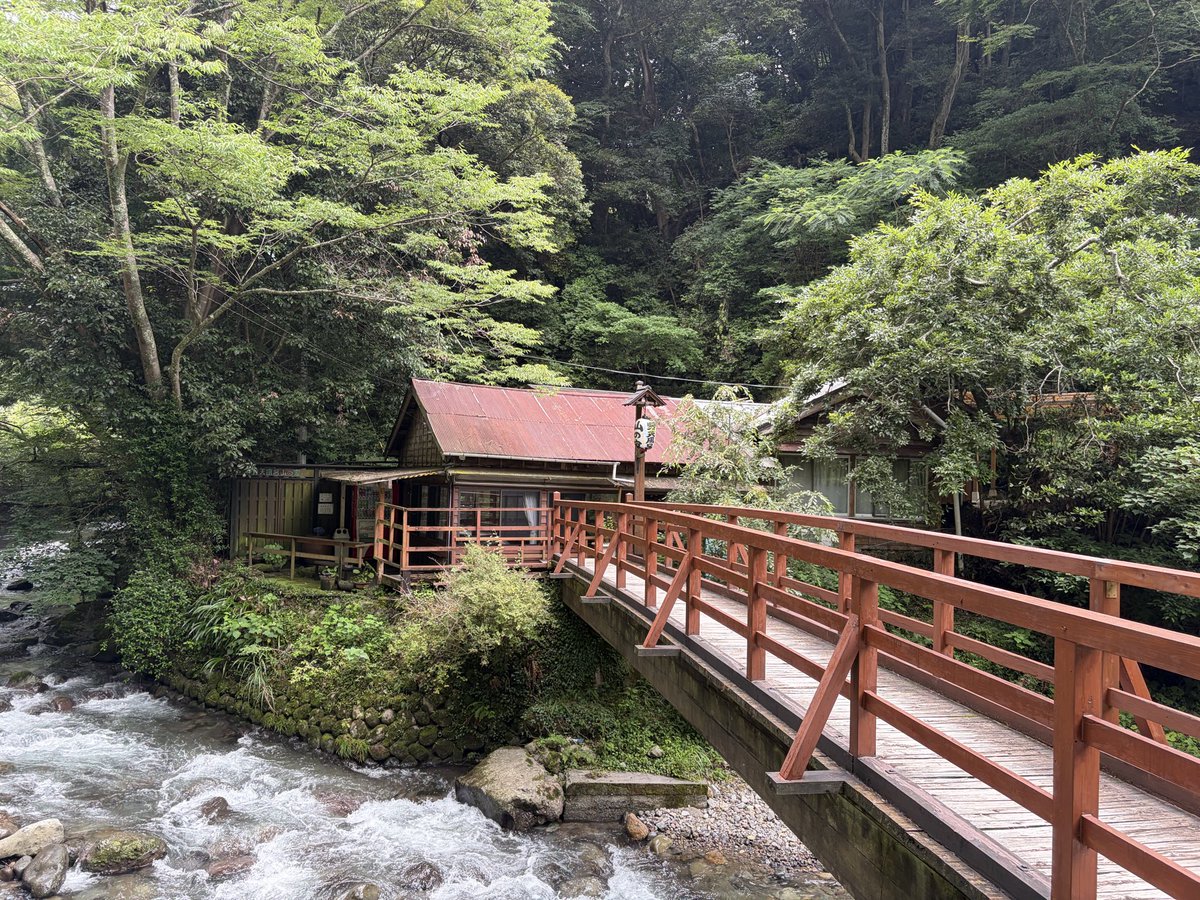 onsensennin's tweet photo. 静岡県松崎町の大沢荘別館山の家露天風呂。橋を渡って山際の露天風呂へ。勢いよく湯が湧き出していた。600円です。
#山の家　#露天風呂 https://t.co/gE3gCVIghV